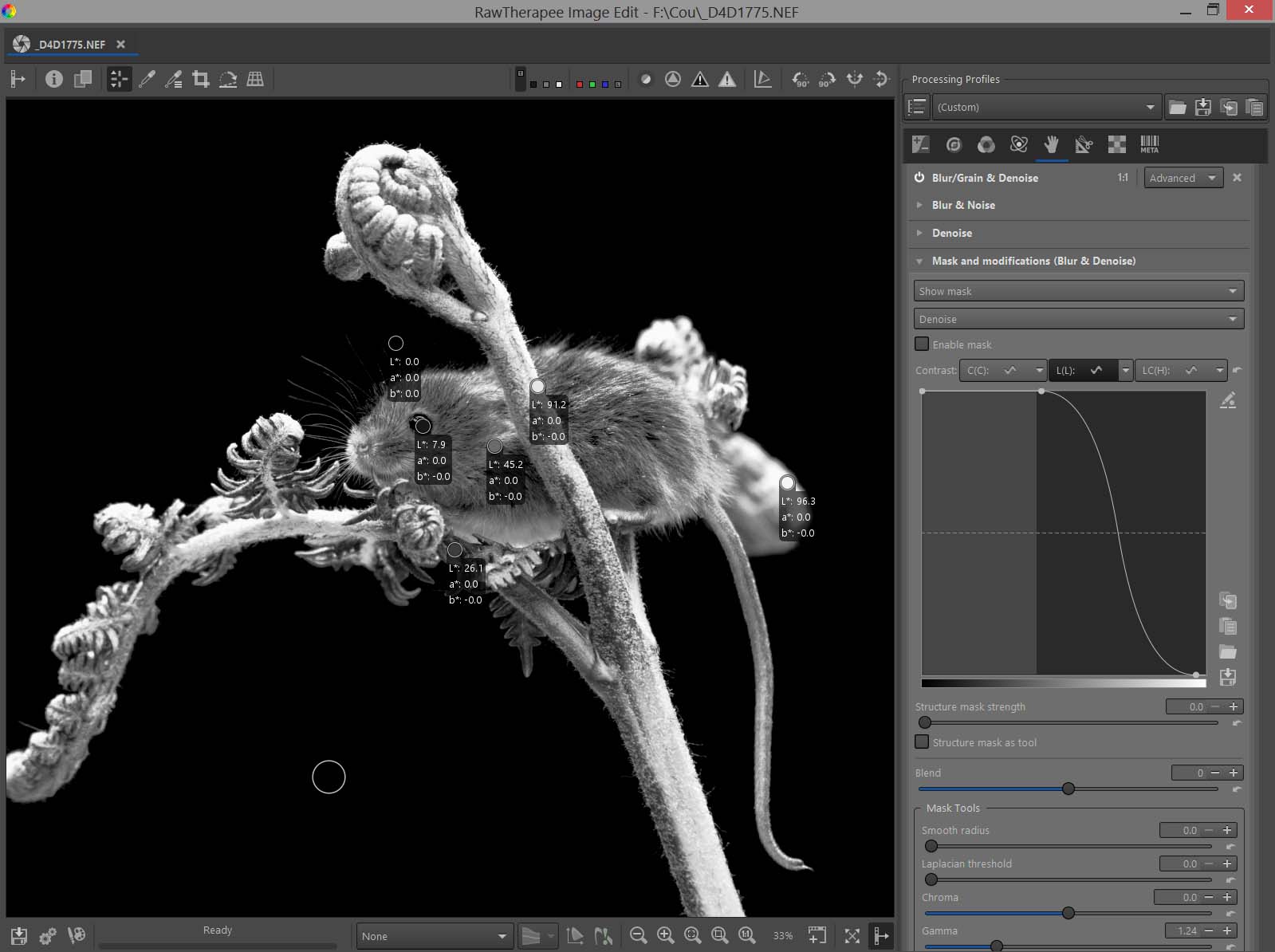 mulot_mask.jpg mulot_mask.jpg