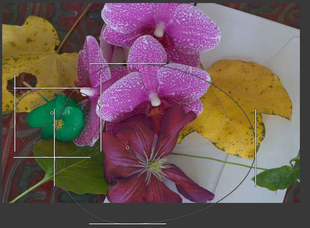 Colorspace_flowers-grid2.jpg