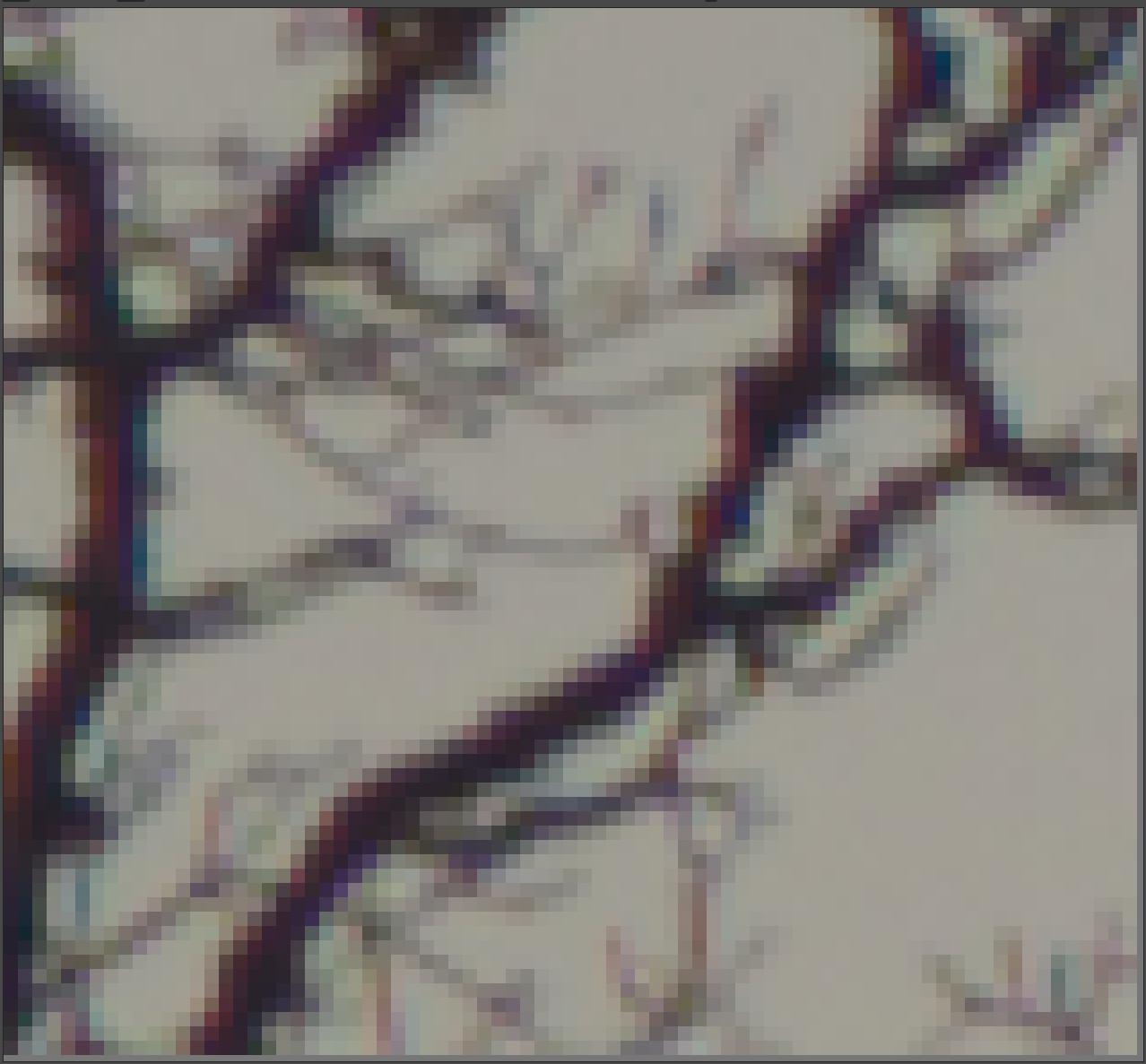 AMaZE+VNG4 demosaicing, without false colour suppression