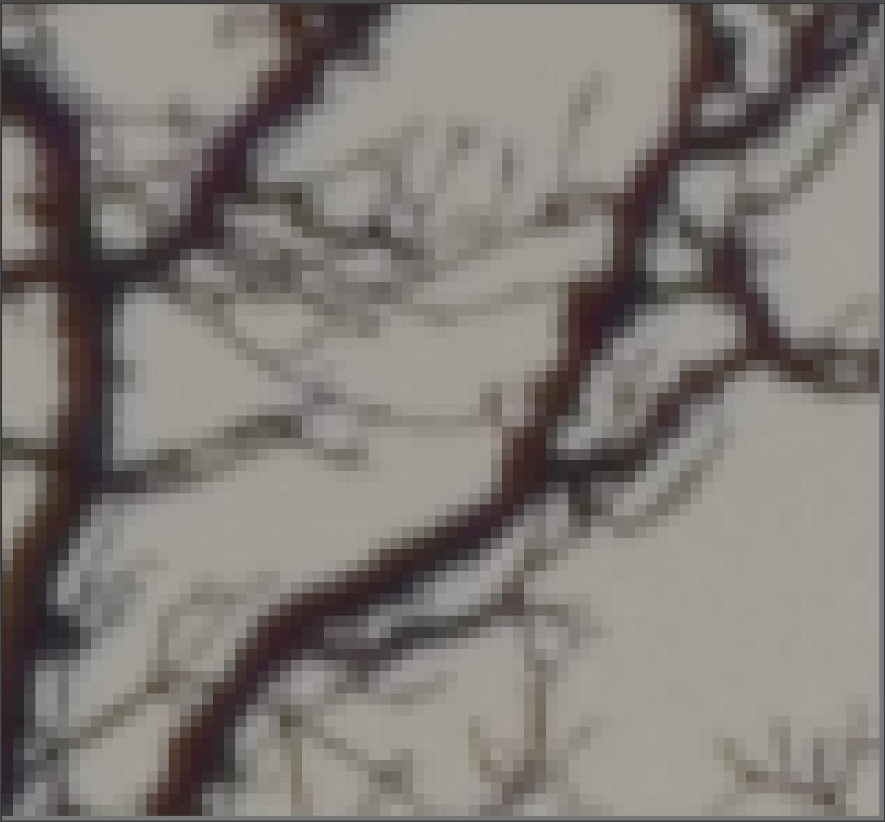 AMaZE+VNG4 demosaicing, false colour suppression = 4